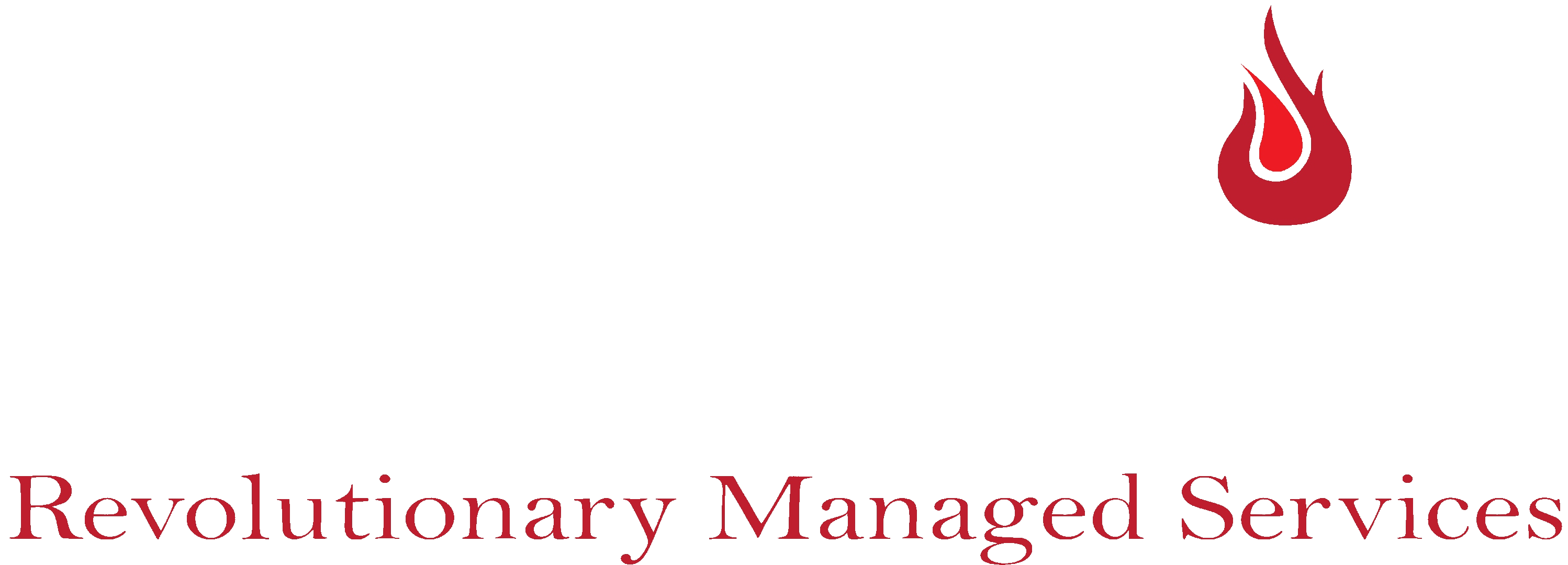 Torchsec Technologies